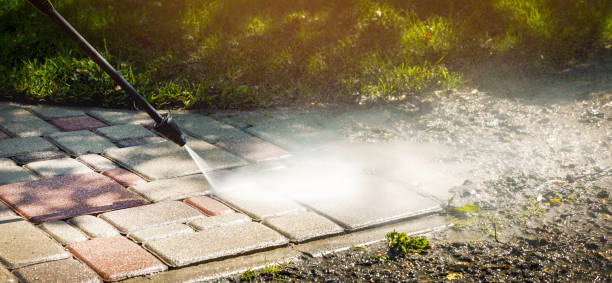 Best Roof Washing  in Dortches, NC